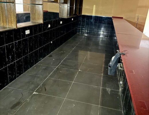 E9194AAB-C76C-4D2D-AFA4-93A849D1CABF_1_201_a